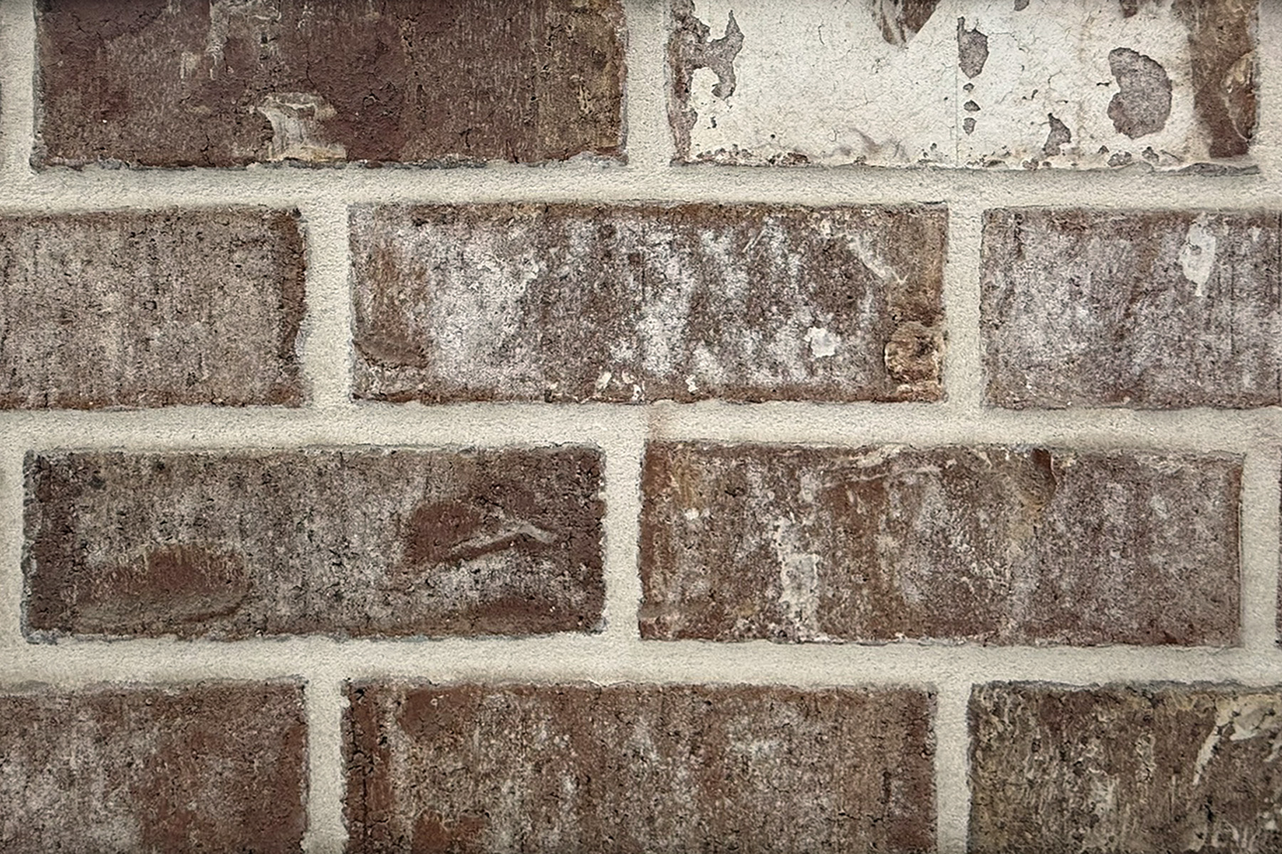 Melrose- Georgia Classic Collection